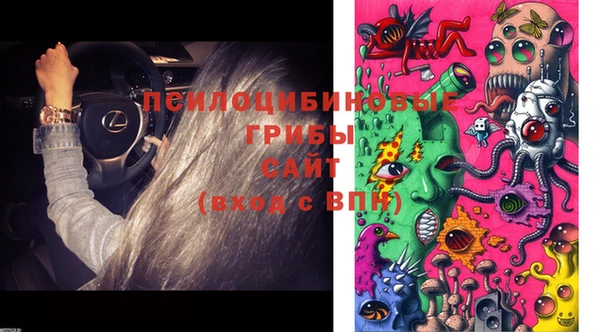 круглые Магас