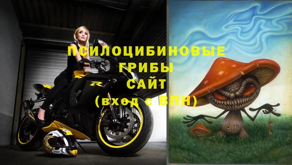 бошки Медвежьегорск