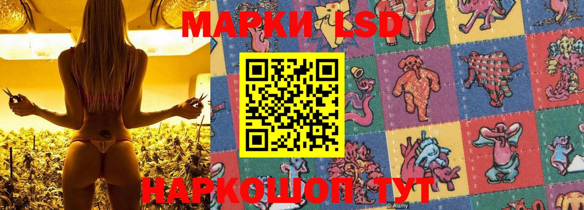 Конопля Мичуринск
