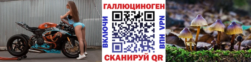 как найти наркотики  Мичуринск  Псилоцибиновые грибы Psilocybe 